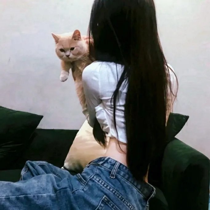 彩绿