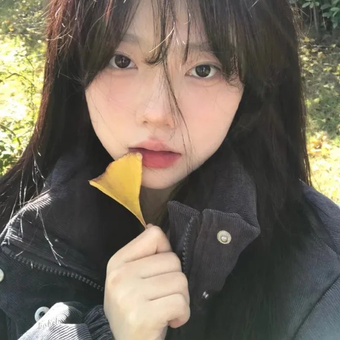 花样中年粤语